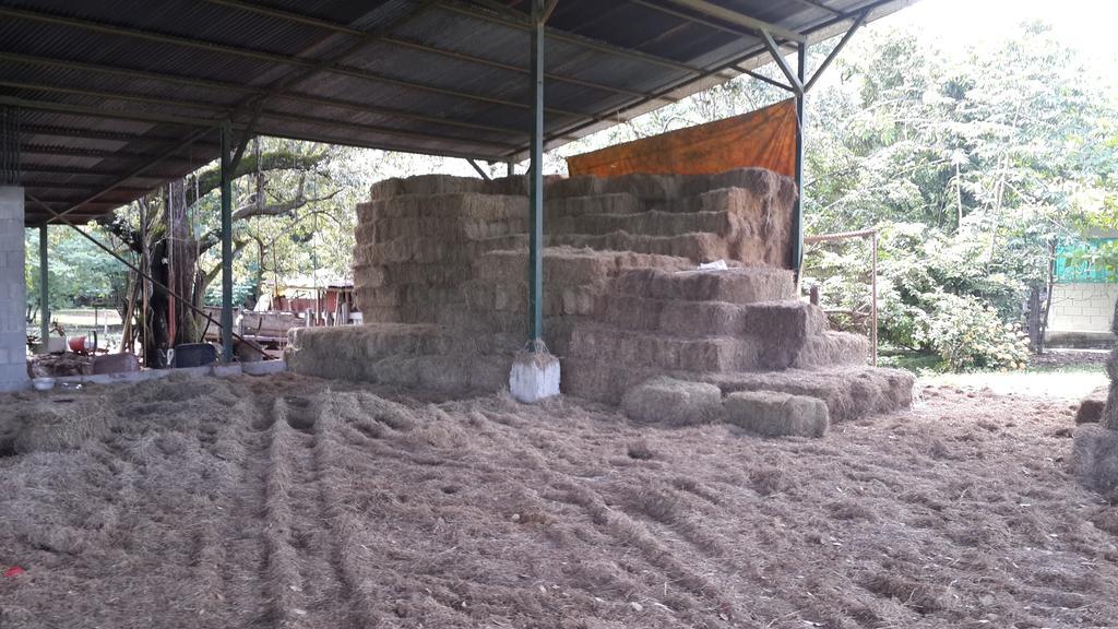 Rancho Curubande Lodge Liberia Extérieur photo
